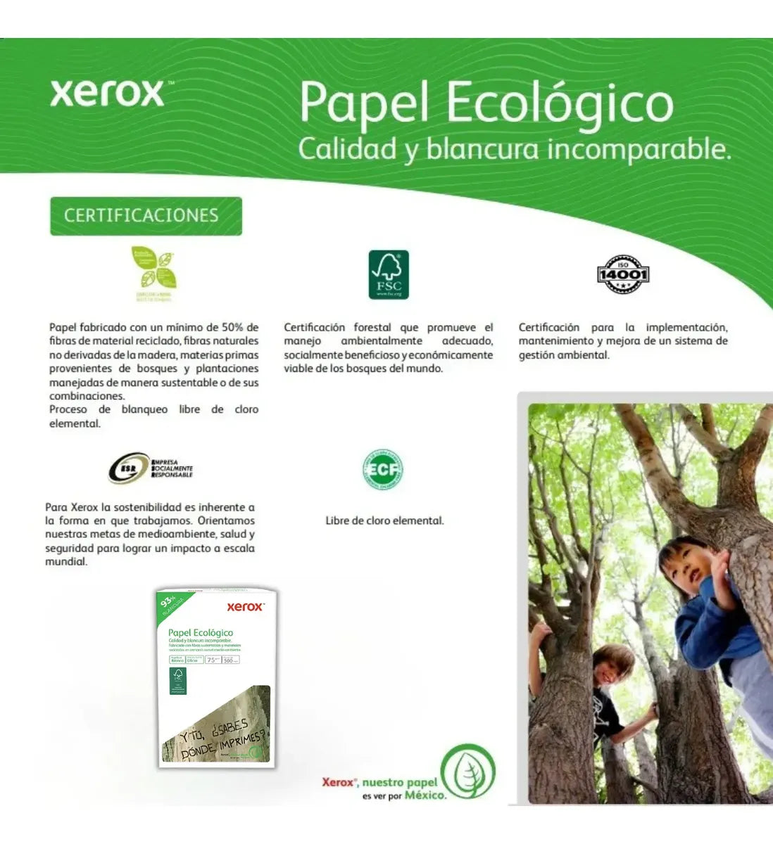 Papel Xerox Ecologico Tamaño Oficio 1500 Hojas Blancas 75g